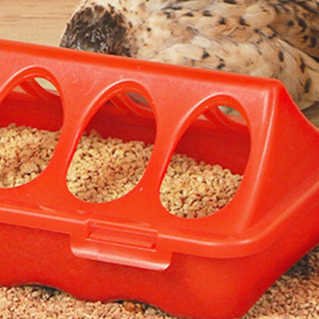 Plastic Flip Top Chicken Feeder Small Poultry Feeding Tray with Holes Duckling Quail Drinker No Waste Feeder Trough for Birds Pigeon Chicken