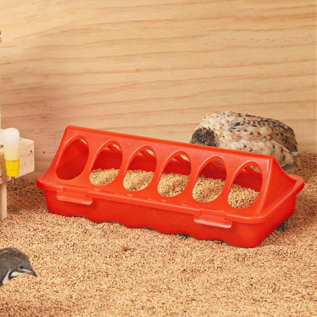 Plastic Flip Top Chicken Feeder Small Poultry Feeding Tray with Holes Duckling Quail Drinker No Waste Feeder Trough for Birds Pigeon Chicken