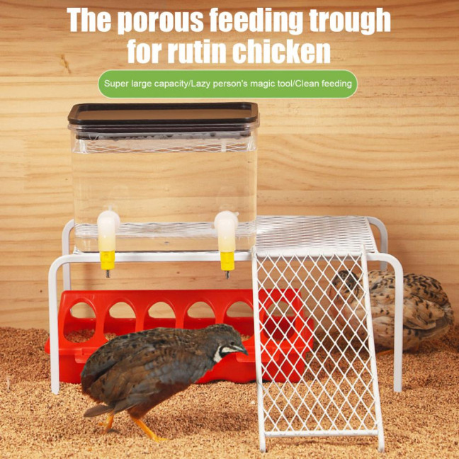 Plastic Flip Top Chicken Feeder Small Poultry Feeding Tray with Holes Duckling Quail Drinker No Waste Feeder Trough for Birds Pigeon Chicken