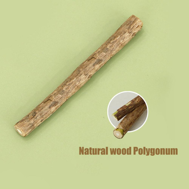 Scallion-Shaped Cat Chew Toy Soft Felt Scallion Cat Teething Toy Interactive Pet Training Supplies for Indoor Kittens And Cats