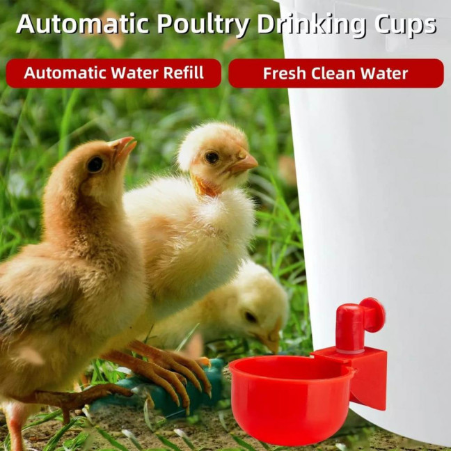 16 Pcs Automatic Chicken Water Cup Plastic Chicken Watering System Poultry Water Feeder Cup for Chicken Duck Goose Turkey