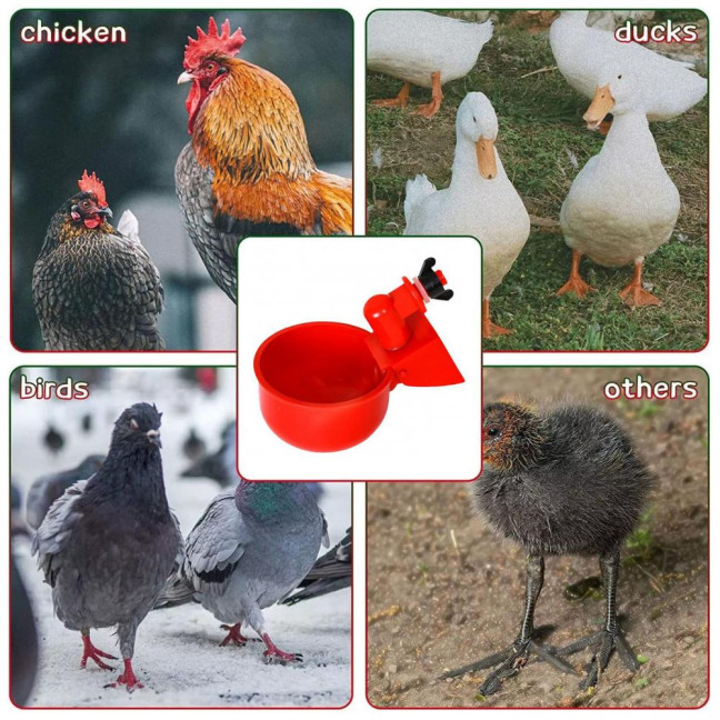 16 Pcs Automatic Chicken Water Cup Plastic Chicken Watering System Poultry Water Feeder Cup for Chicken Duck Goose Turkey