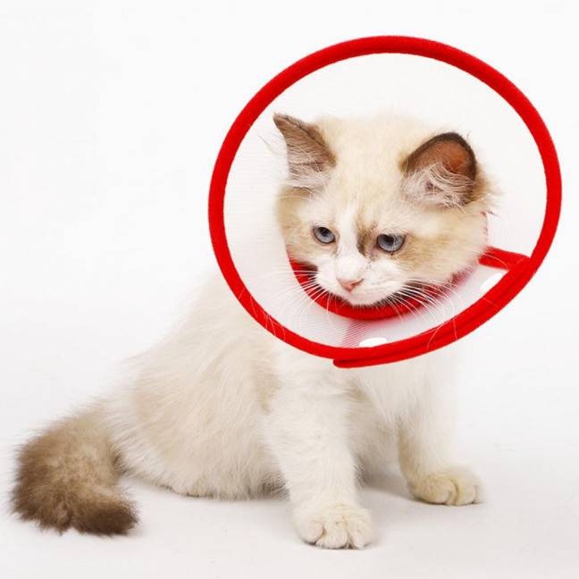 Cat Cone Collar Adjustable Recovery Pet Cone E-Collar Wound Healing Anti-licking Protective Collar Neck Cover for Cats Kittens Rabbits