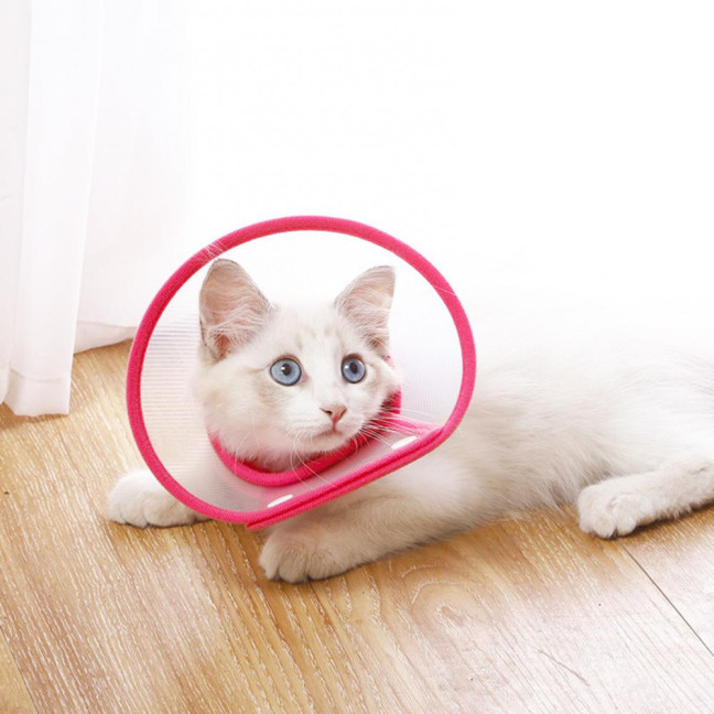 Cat Cone Collar Adjustable Recovery Pet Cone E-Collar Wound Healing Anti-licking Protective Collar Neck Cover for Cats Kittens Rabbits