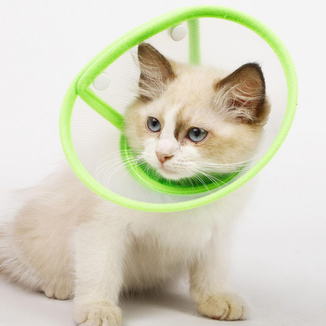 Cat Cone Collar Adjustable Recovery Pet Cone E-Collar Wound Healing Anti-licking Protective Collar Neck Cover for Cats Kittens Rabbits
