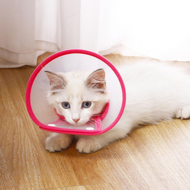 Cat Cone Collar Adjustable Recovery Pet Cone E-Collar Wound Healing Anti-licking Protective Collar Neck Cover for Cats Kittens Rabbits