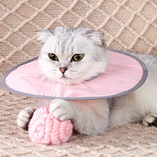 Soft Cat Cone Collar Adjustable Recovery Cone for Small Large Cats After Surgery to Stop Licking And Scratch Waterproof Protective E Collar for Wound Care Soft Cat Cone Collar Adjustable Recovery Cone for Small Large Cats After Surgery to Stop Licking And Scratch Waterproof Protective E Collar for Wound Care