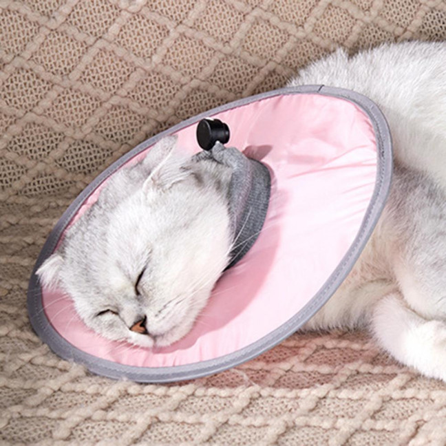 Soft Cat Cone Collar Adjustable Recovery Cone for Small Large Cats After Surgery to Stop Licking And Scratch Waterproof Protective E Collar for Wound Care Soft Cat Cone Collar Adjustable Recovery Cone for Small Large Cats After Surgery to Stop Licking And Scratch Waterproof Protective E Collar for Wound Care