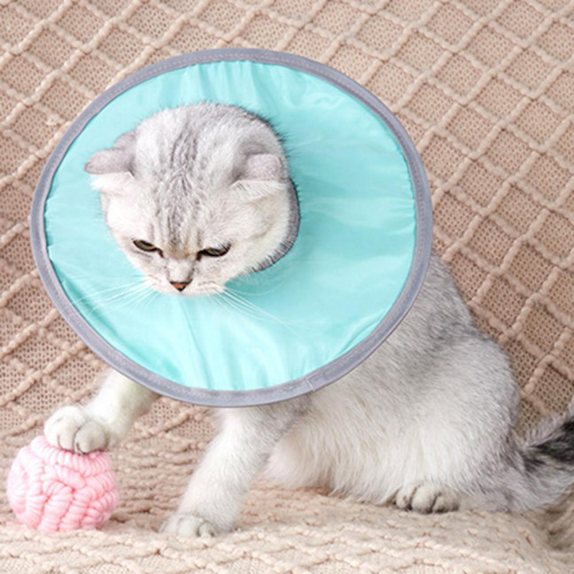 Soft Cat Cone Collar Adjustable Recovery Cone for Small Large Cats After Surgery to Stop Licking And Scratch Waterproof Protective E Collar for Wound Care Soft Cat Cone Collar Adjustable Recovery Cone for Small Large Cats After Surgery to Stop Licking And Scratch Waterproof Protective E Collar for Wound Care
