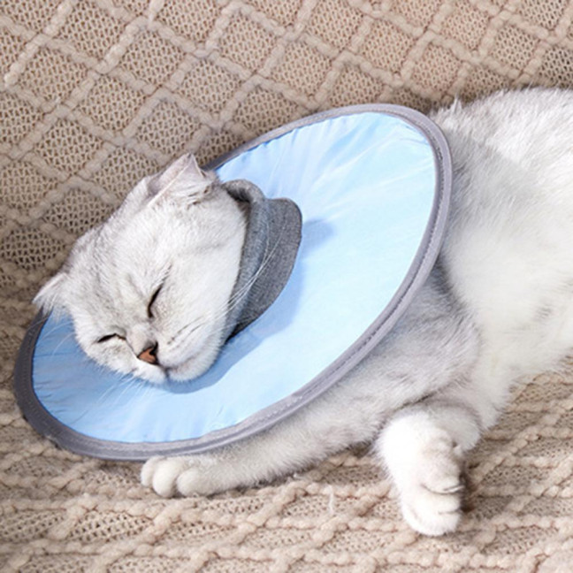 Soft Cat Cone Collar Adjustable Recovery Cone for Small Large Cats After Surgery to Stop Licking And Scratch Waterproof Protective E Collar for Wound Care Soft Cat Cone Collar Adjustable Recovery Cone for Small Large Cats After Surgery to Stop Licking And Scratch Waterproof Protective E Collar for Wound Care