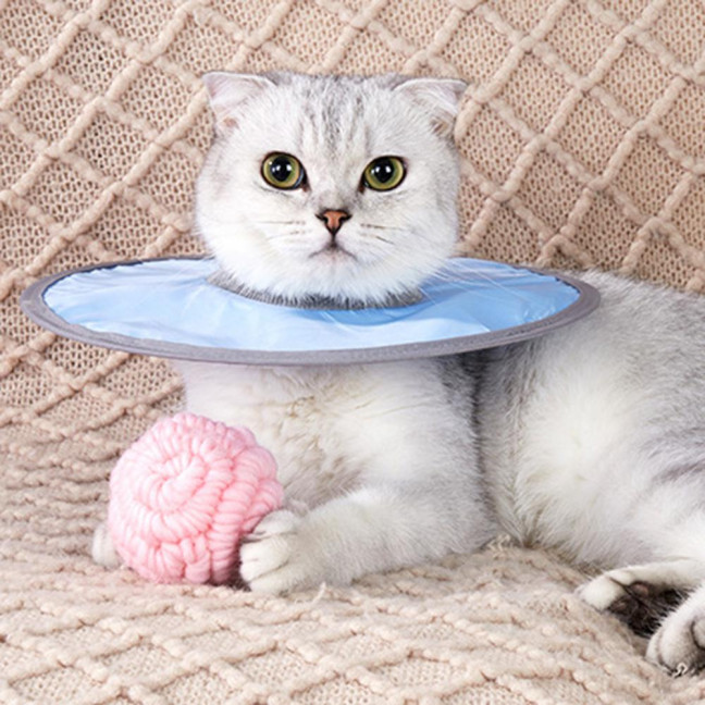 Soft Cat Cone Collar Adjustable Recovery Cone for Small Large Cats After Surgery to Stop Licking And Scratch Waterproof Protective E Collar for Wound Care Soft Cat Cone Collar Adjustable Recovery Cone for Small Large Cats After Surgery to Stop Licking And Scratch Waterproof Protective E Collar for Wound Care
