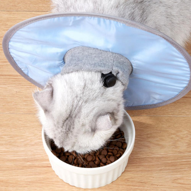 Soft Cat Cone Collar Adjustable Recovery Cone for Small Large Cats After Surgery to Stop Licking And Scratch Waterproof Protective E Collar for Wound Care Soft Cat Cone Collar Adjustable Recovery Cone for Small Large Cats After Surgery to Stop Licking And Scratch Waterproof Protective E Collar for Wound Care