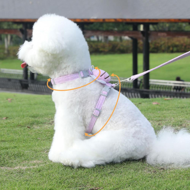 Cat Harness Leash Set Adjustable Cartoon Bee Pet Harness for Small Medium Dogs Cats Escape-Proof Pet Collar Leash for Outdoor Walking