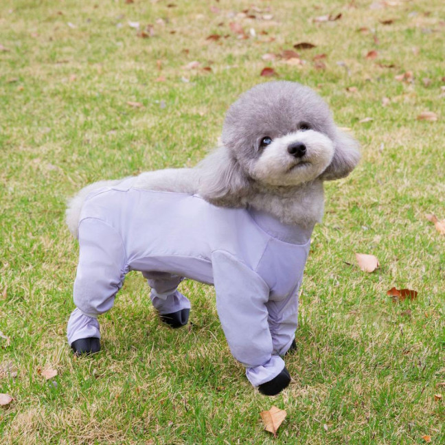 Dog Suspenders Boots Waterproof Dog Shoes Leggings Dirt Proof Dog Jacket with Boots Anti-Slip Dog Pants Paw Protector for Rainy Snowy Days Walking Dog Suspenders Boots Waterproof Dog Shoes Leggings Dirt Proof Dog Jacket with Boots Anti-Slip Dog Pants Paw Protector for Rainy Snowy Days Walking