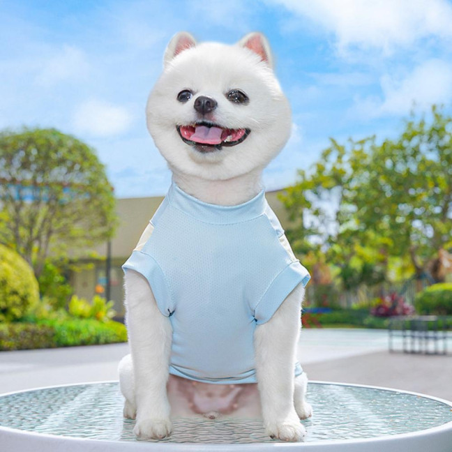 Sun Protection Dog Shirt Breathable Quick-Drying Ice Silk Dog Cooling T-shirts Summer Pet Sleeveless Clothes for Small Medium Dogs