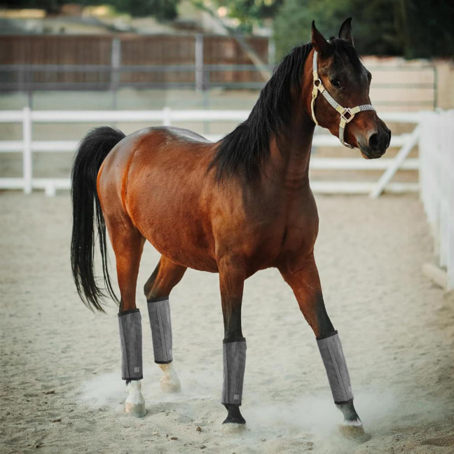 4 Pcs Horse Fly Boots Breathable Mesh Horse Leggings Equine Supplies for Reducing Stomping Hoof Damage Leg Fatigue