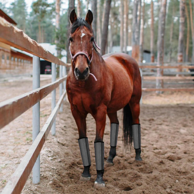 4 Pcs Horse Fly Boots Breathable Mesh Horse Leggings Equine Supplies for Reducing Stomping Hoof Damage Leg Fatigue