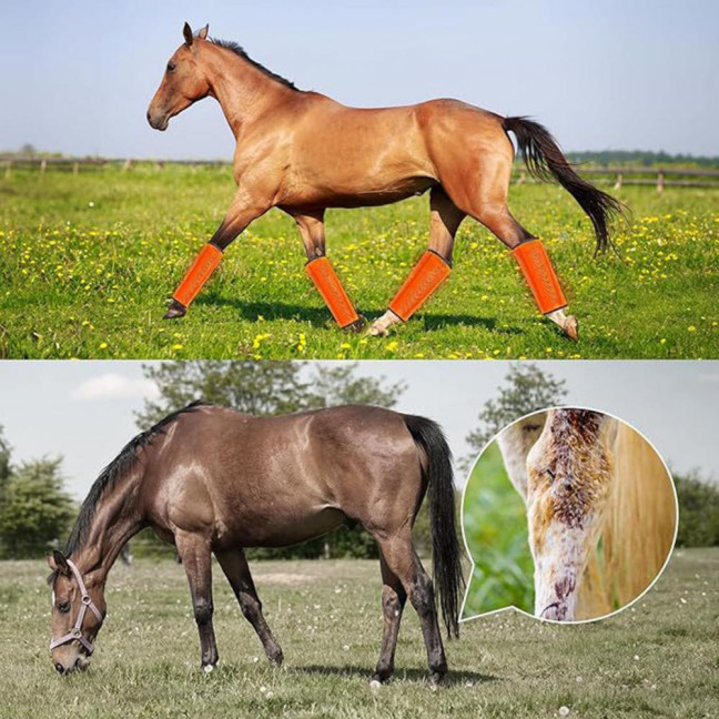 4 Pcs Horse Fly Boots Breathable Mesh Horse Leggings Equine Supplies for Reducing Stomping Hoof Damage Leg Fatigue