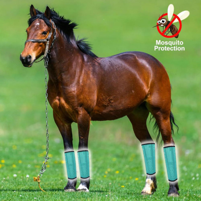 4 Pcs Horse Fly Boots Breathable Mesh Horse Leggings Equine Supplies for Reducing Stomping Hoof Damage Leg Fatigue