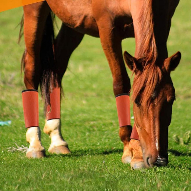 4 Pcs Horse Fly Boots Breathable Mesh Horse Leggings Equine Supplies for Reducing Stomping Hoof Damage Leg Fatigue