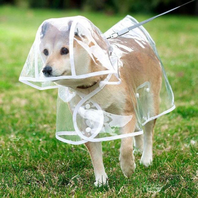 Pet Dog Transparent Raincoat Hooded Waterproof Jacket Fashionable Lightweight Pet Coat Small Medium Dogs Cats Rain Poncho