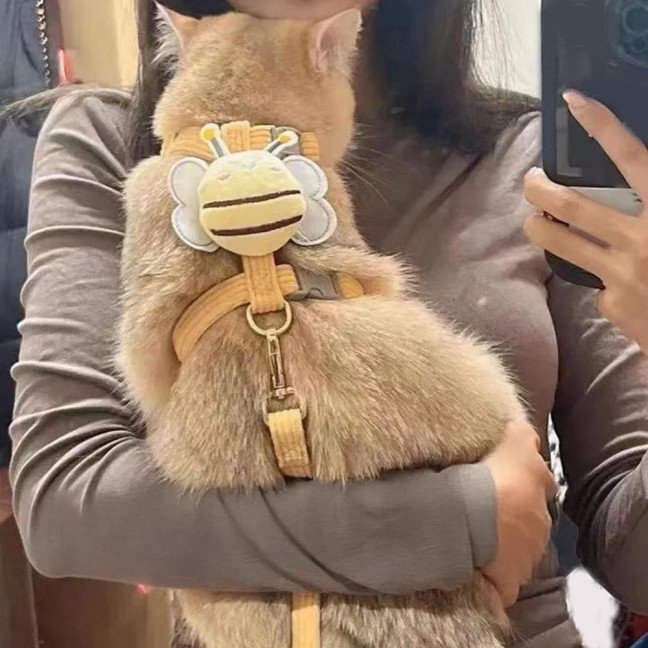 Cat Harness And Leash Set Adjustable Escape Proof Kitten Harness with Cartoon Bee for Small Medium Cats Dogs Outdoor Walking