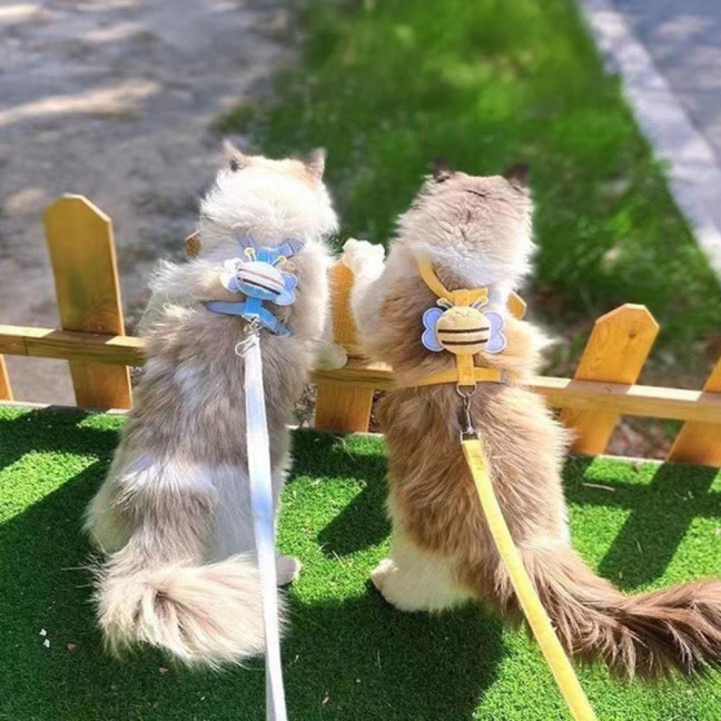 Cat Harness And Leash Set Adjustable Escape Proof Kitten Harness with Cartoon Bee for Small Medium Cats Dogs Outdoor Walking