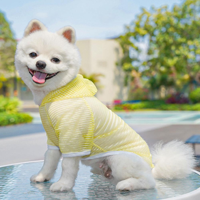 Pet Clothes Lightweight Mesh Fabric Hooded Short Sleeve Breathable Sun Protection Clothes Easy Wash Quick Drying Pet Vest