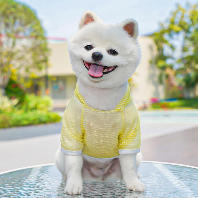 Pet Clothes Lightweight Mesh Fabric Hooded Short Sleeve Breathable Sun Protection Clothes Easy Wash Quick Drying Pet Vest