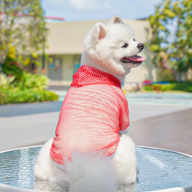 Pet Clothes Lightweight Mesh Fabric Hooded Short Sleeve Breathable Sun Protection Clothes Easy Wash Quick Drying Pet Vest