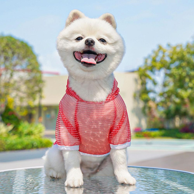 Pet Clothes Lightweight Mesh Fabric Hooded Short Sleeve Breathable Sun Protection Clothes Easy Wash Quick Drying Pet Vest
