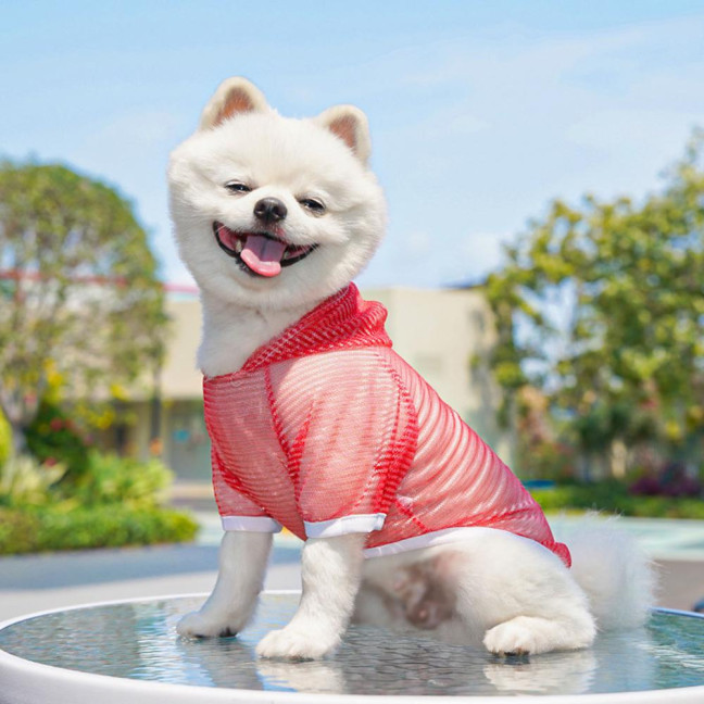 Pet Clothes Lightweight Mesh Fabric Hooded Short Sleeve Breathable Sun Protection Clothes Easy Wash Quick Drying Pet Vest