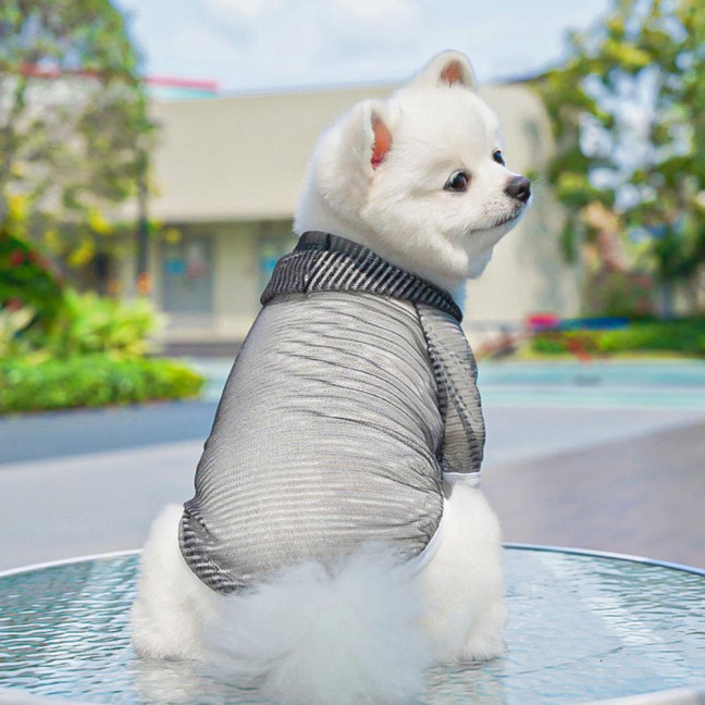 Pet Clothes Lightweight Mesh Fabric Hooded Short Sleeve Breathable Sun Protection Clothes Easy Wash Quick Drying Pet Vest