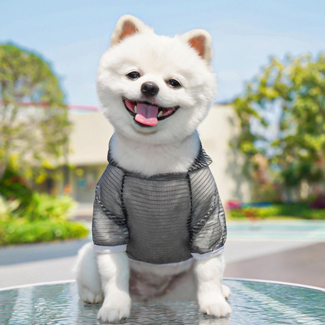 Pet Clothes Lightweight Mesh Fabric Hooded Short Sleeve Breathable Sun Protection Clothes Easy Wash Quick Drying Pet Vest