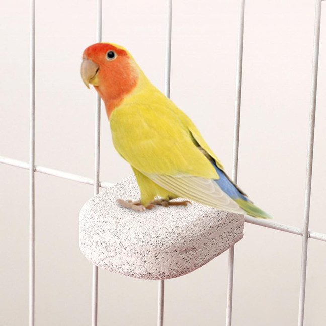 4 Pcs Birds Beak Grinding Stone Parrot Calcium Perch Chewing Toy Birds Foot Claws Trimmer Platform for Small Medium Birds Parakeet Lovebird Cockatiel Conure