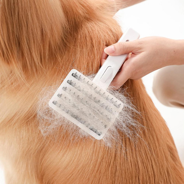 Pet Comb Ergonomic Design Comfortable Grip Steam Cat Brush with Stainless Steel Teeth Anti-scratch Cat Grooming Tool