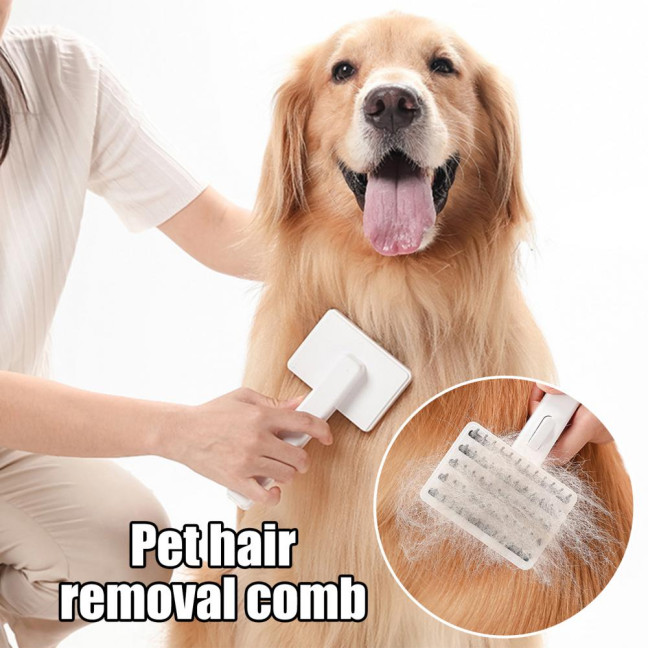 Pet Comb Ergonomic Design Comfortable Grip Steam Cat Brush with Stainless Steel Teeth Anti-scratch Cat Grooming Tool