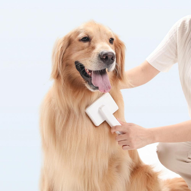 Pet Comb Ergonomic Design Comfortable Grip Steam Cat Brush with Stainless Steel Teeth Anti-scratch Cat Grooming Tool