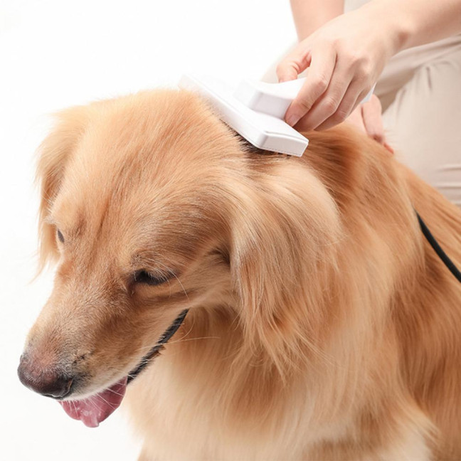 Pet Comb Ergonomic Design Comfortable Grip Steam Cat Brush with Stainless Steel Teeth Anti-scratch Cat Grooming Tool