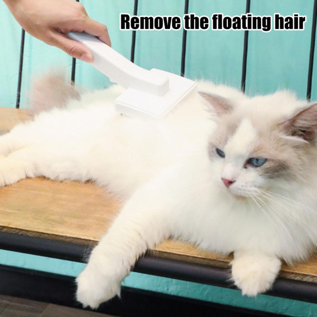 Pet Comb Ergonomic Design Comfortable Grip Steam Cat Brush with Stainless Steel Teeth Anti-scratch Cat Grooming Tool