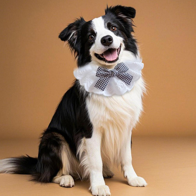 Pet Lace Bib Collar Adjustable Pet Bandana with Bow Handmade Sweet Lace Neck Scarf for Pet Birthday Dress Up Accessories