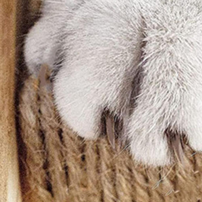 Cat Climbing Steps for Crate Cage Sisal Hemp Covered Pet Scratching Step Cat Perch Furniture Cage Shelf Ladder with Install Screws for Kittens Adult Cats 