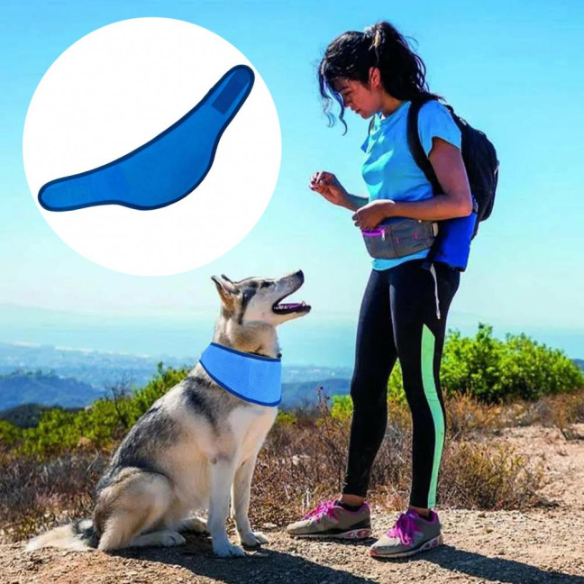2 Pcs Dog Cooling Bandana Summer Outdoor Neck Wrap Ice Scarf Adjustable Dog Cooling Collar for Small Medium Large Breeds 2 Pcs Dog Cooling Bandana Summer Outdoor Neck Wrap Ice Scarf Adjustable Dog Cooling Collar for Small Medium Large Breeds
