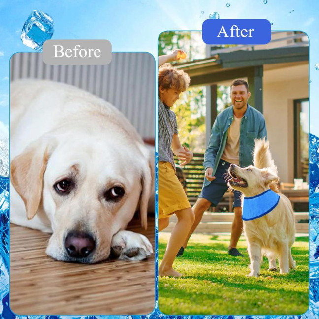 2 Pcs Dog Cooling Bandana Summer Outdoor Neck Wrap Ice Scarf Adjustable Dog Cooling Collar for Small Medium Large Breeds 2 Pcs Dog Cooling Bandana Summer Outdoor Neck Wrap Ice Scarf Adjustable Dog Cooling Collar for Small Medium Large Breeds