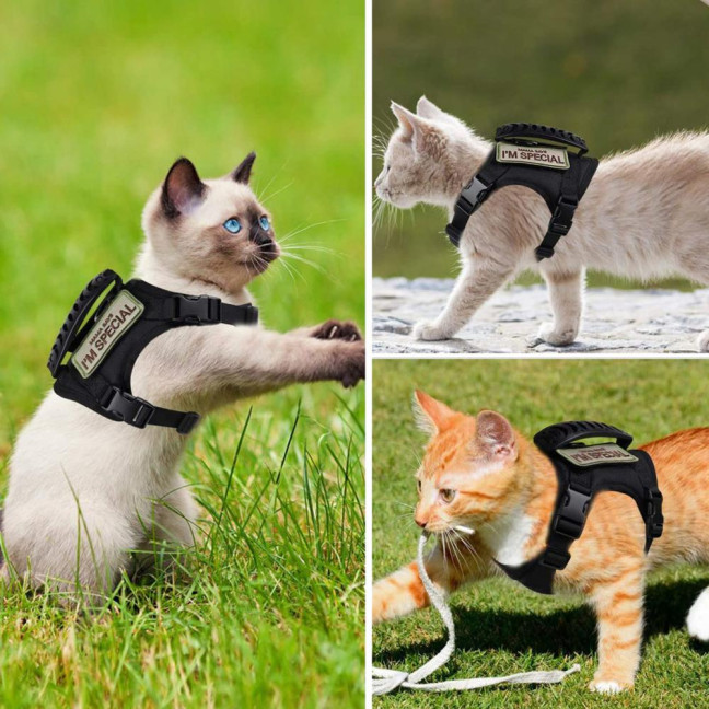 Tactical Cat Harness for Outdoor Walking Adjustable Escape Proof Pet Vest Breathable Cat Chest Strap with Handle for Small Large Cats