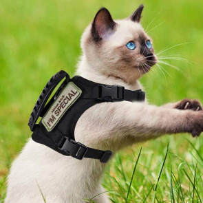 Tactical Cat Harness for Outdoor Walking Adjustable Escape Proof Pet Vest Breathable Cat Chest Strap with Handle for Small Large Cats