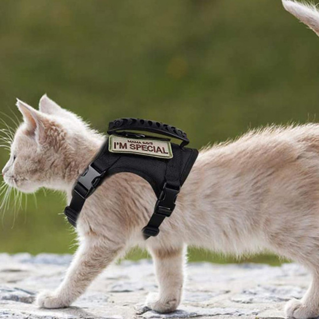 Tactical Cat Harness for Outdoor Walking Adjustable Escape Proof Pet Vest Breathable Cat Chest Strap with Handle for Small Large Cats