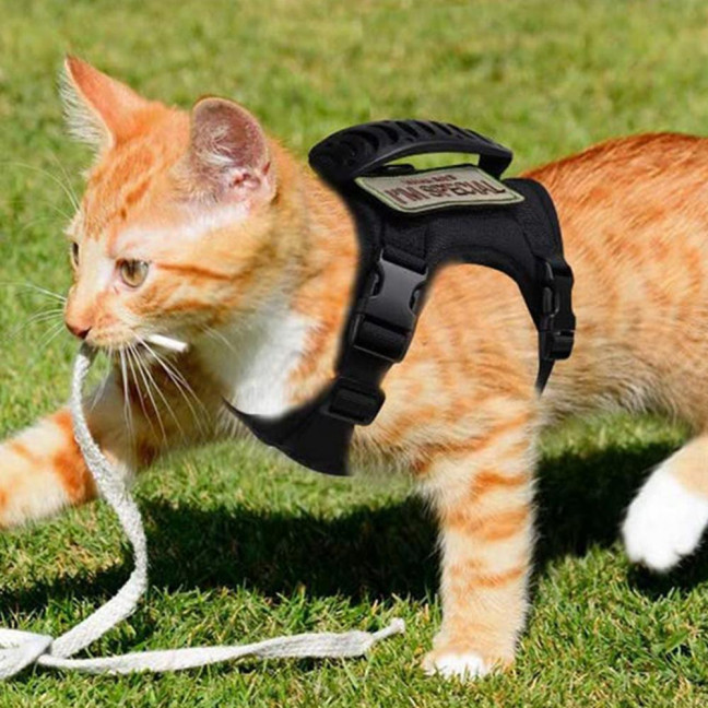 Tactical Cat Harness for Outdoor Walking Adjustable Escape Proof Pet Vest Breathable Cat Chest Strap with Handle for Small Large Cats