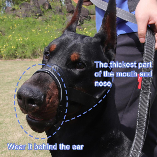 No-Pull Dog Head Collar Adjustable Dog Head Halter with Padded Nose Band Reflective Training Muzzle Leash for Medium Large Dogs