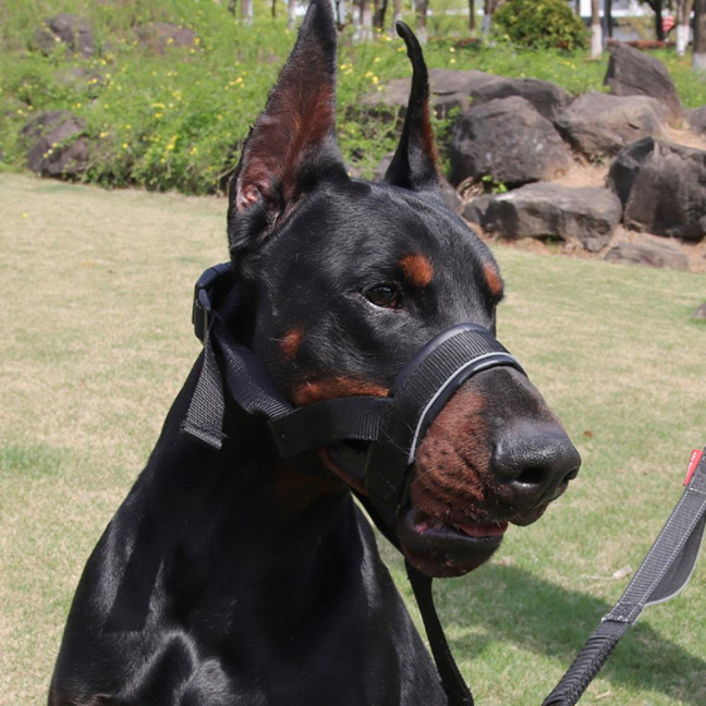 No-Pull Dog Head Collar Adjustable Dog Head Halter with Padded Nose Band Reflective Training Muzzle Leash for Medium Large Dogs